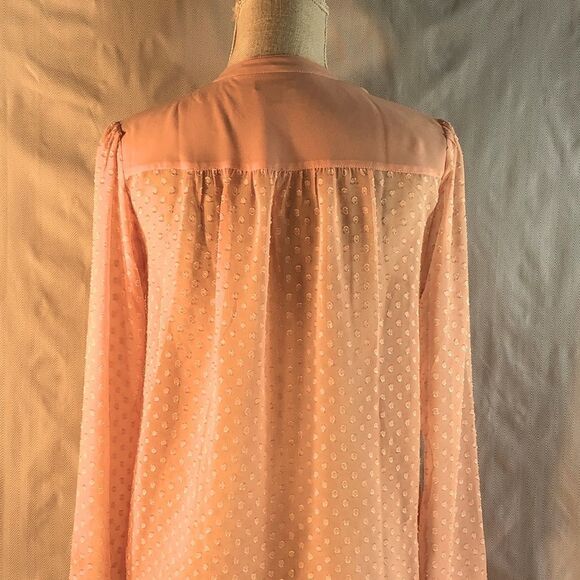Ann Taylor Shear Pink Textured Button Down Long Sleeve Blouse XS - Picture 6 of 11